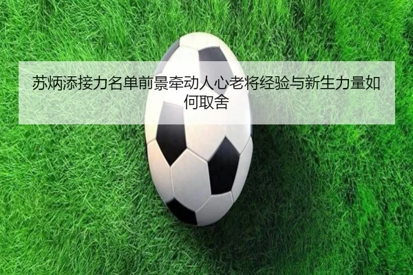 苏炳添接力名单前景牵动人心老将经验与新生力量如何取舍